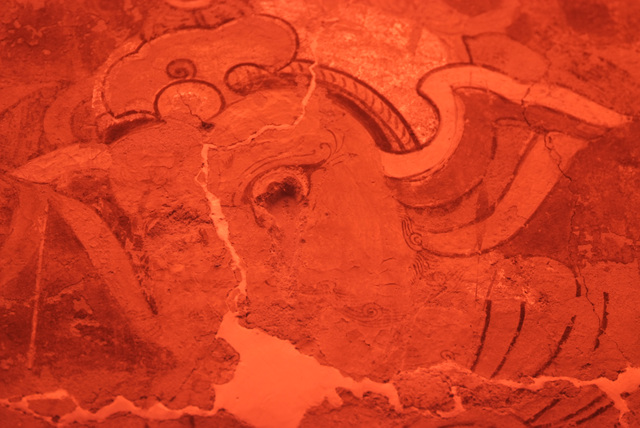 DSIR0226.jpg