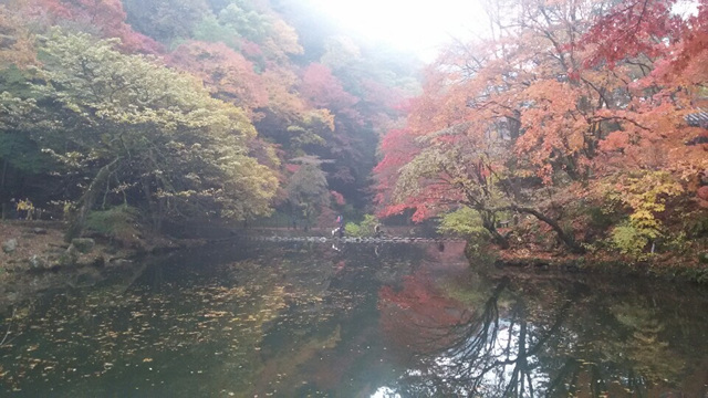 KakaoTalk_20151118_131729278.jpg
