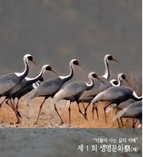 두루미.jpg