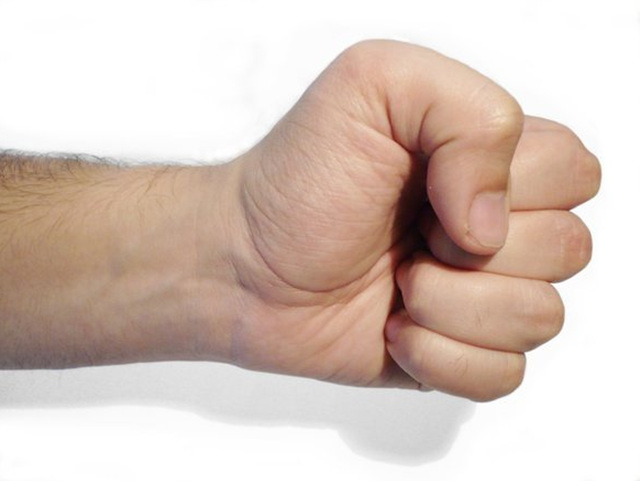 hands-in-action-fist-1-1431517.jpg