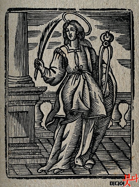 xlek902n9.jpg