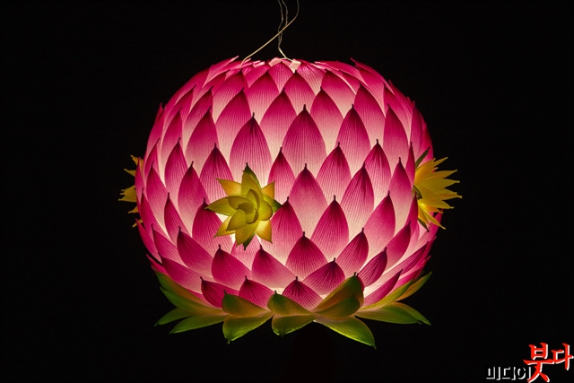 a-01-ÀÏ¹Ý ÃÖ¿ì¼ö ¹Ú¹Ì¼±(ºÒ±¤»ç).jpg