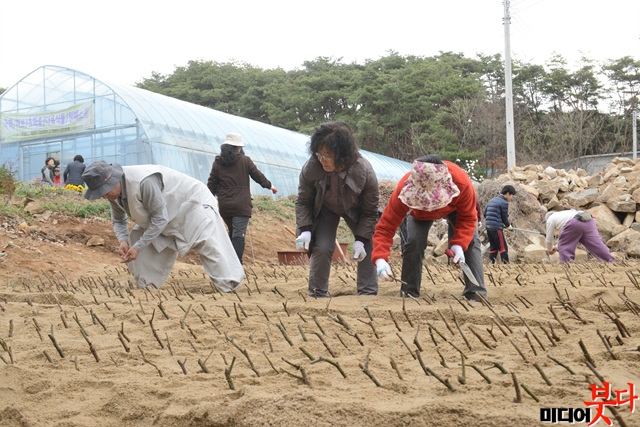 2017 峪 ɱ.jpg