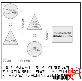 ±×¸²1.JPG