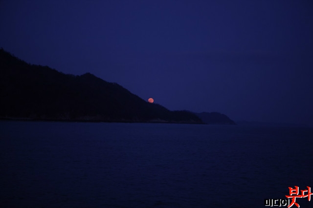 DPP_0011.JPG