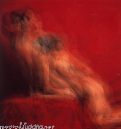 12Ä¿ÇÃÀÇ Å°½º½ÅÀ» À̹ÌÁö Áßø¹æ½ÄÀ¸·Î ÃÔ¿µÇÑ »çÁø.