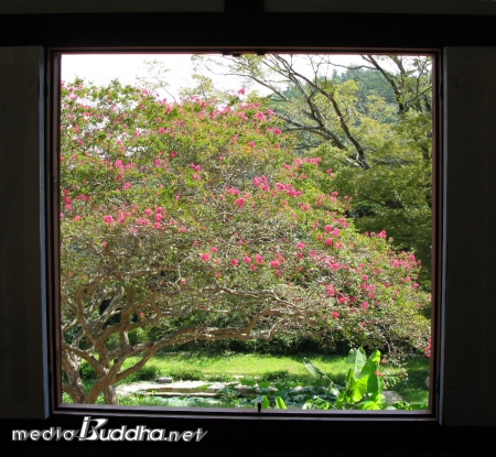 û  â ۿ  ճ (ȫ).  ؾε ״ΰ   ׸̴. 