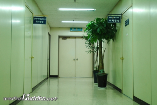 ºÒ±³¹æ¼Û°ú ºÒ±³ÁøÈï¿øÀÌ ºÒÆíÇÑ µ¿°Å¸¦ Çϰí ÀÖ´Ù. ¾ç Àç´Ü¹ýÀÎÀÇ ÀÌ»çÀå½ÇÀÌ º¹µµ¸¦ »çÀÌ·Î ¸¶ÁÖÇϰí ÀÖÁö¸¸ ±× Æ´Àº ½Ê¸¸ÆÈõ¸® ó·³ ¸Ö±â¸¸ ÇÏ´Ù.