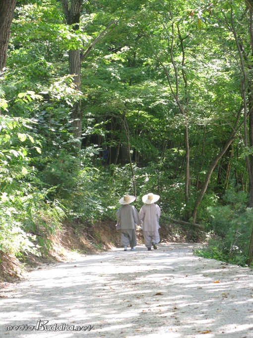 º®¼Û»ç ¿·À¸·Î ³ ½£±æÀ» °É¾î°¡°í ÀÖ´Â µÎ ½º´ÔÀÇ ¸ð½À.