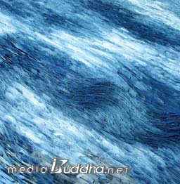 »ç°ø¿ìÀÇ '»îÀÇ ³ë·¡'