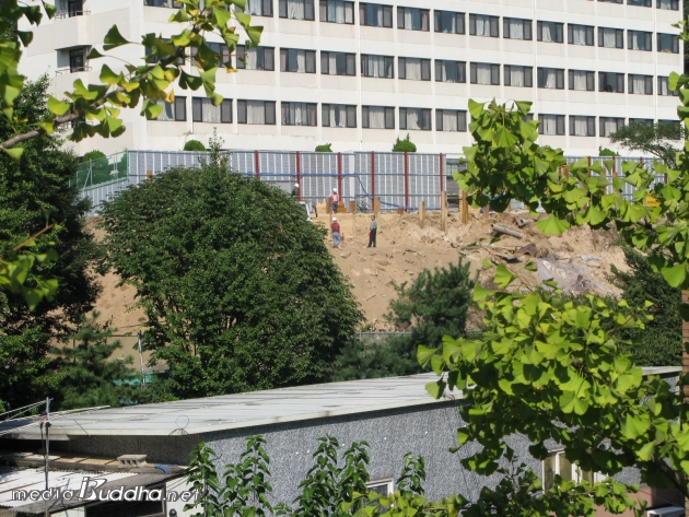 °³¿î»ç¿¡¼ ¹Ù¶óº» °í·Á´ë °ø»çÇöÀå-ÀκεéÀÌ °ø»ç¸¦ ÁøÇàÇϰí ÀÖ´Ù.