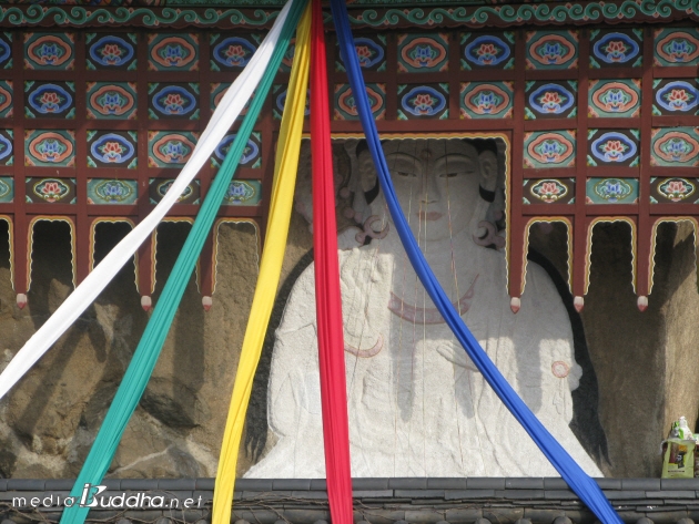 ¿Áõ¾Ï º¸µµ°¢ ¹éºÒ(ÛÜÝÖ)