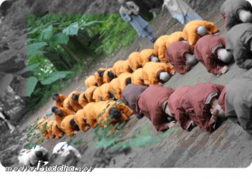 »ïº¸ÀϹèÇÏ´Â ´Ü±âÃâ°¡»ýµé