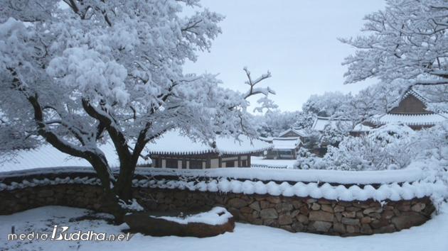 3�� 3��, ������ �� ��翡 ���� ����.