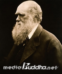 ���� ����.