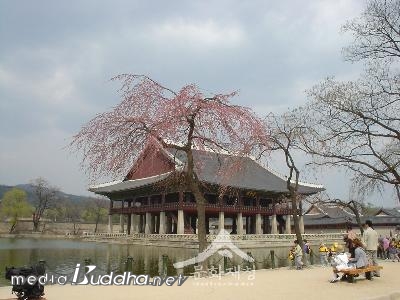 �溹�� ��ȸ�� �ֺ� ���红��