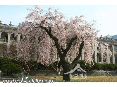 ������ ������ �ֺ� ���红��