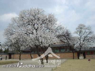 �溹�� ������ �ֺ� �챸��