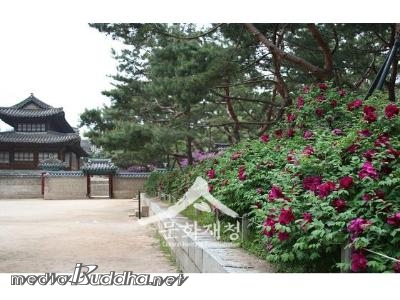 ������ �Գ��� �� ���