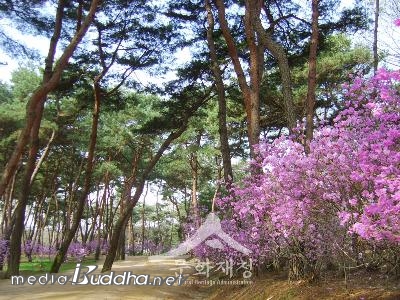 ��⵵ ȭ���� �����Ǹ� ������ �ֺ� ���޷�.