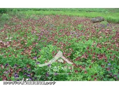 ��⵵ ������ ���� ������ �繦���� �Ź���.