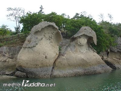 ���� ������ ����