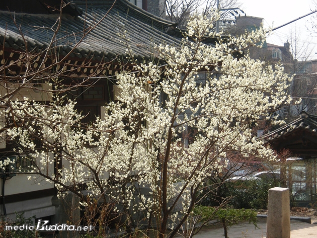 ����� �� ��Ÿ�� �ö󰡴� ��� ������ û��. û������ ������ü�� ����ϵ� �����ϰ� �ִ�. 