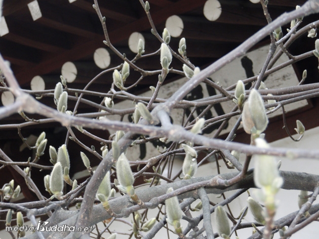 ����� �� ������ �� �ִ� ���. ���츮�� �Ͷ߸��� ������ ����� �Ƹ����. 