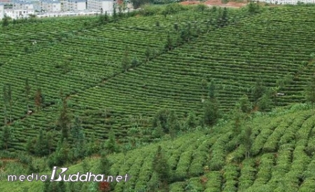 �߱� ���� �� ���� - �������� �̰������� ����ȴ�.