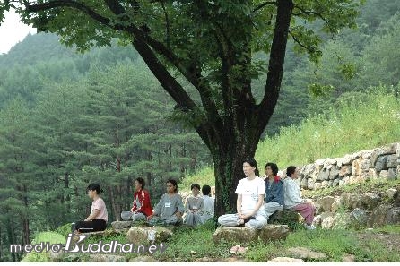 ¹®°æ ¸í»ó¼ö·Ã Àå¸é <»çÁø = Á¤Åäȸ Á¦°ø>