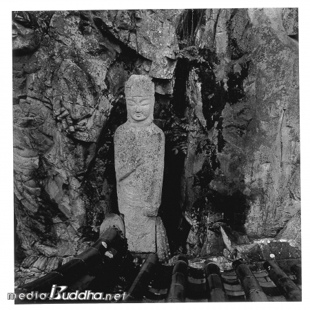 ���ּ����긶�ֻ����һ�(������ߣب��߲������)