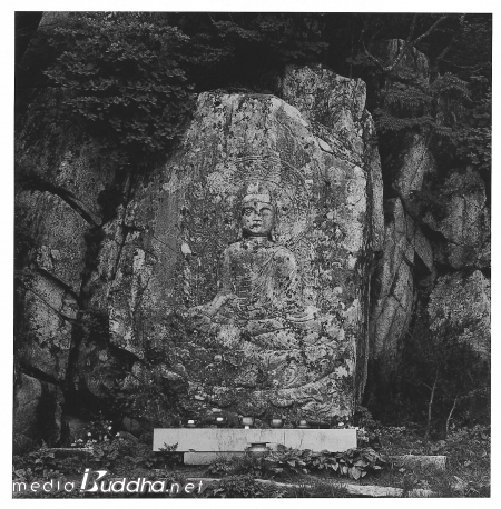 �Ȱ��긶�־�翩���»�����ߣب������������