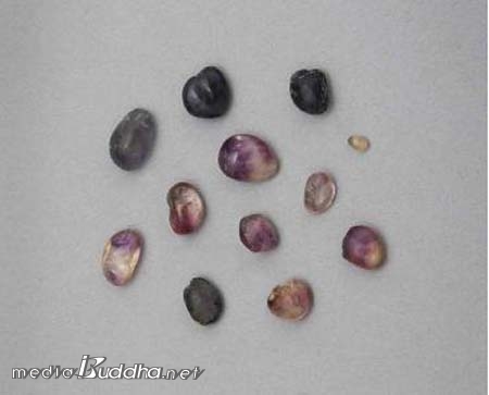 ¹Ì¸¤»çÁö ¼ÂÊ ¼®Å¾¿¡¼ ¹ß°ßµÈ ±Ýµ¿»ç¸®È£¿¡¼ ¼ö½ÀÇÑ ºÎó´Ô Áø½Å»ç¸®.