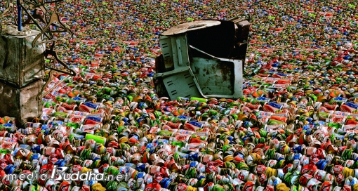 ºñ¹Ý ¼ø´Ù¶÷ ‘¸ÞÅ»¹Ú½º’ (2008)