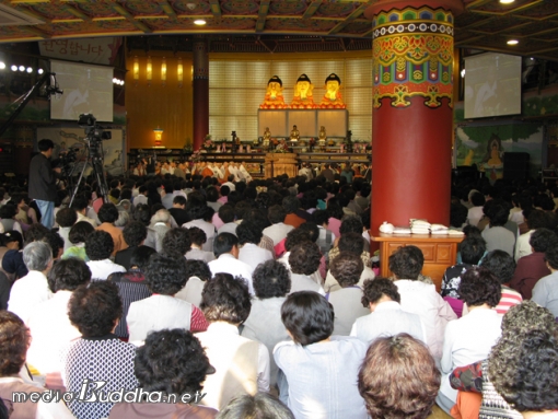 À̳¯ Á¶°èÁ¾ Æ÷±³¿øÀå ÇýÃÑ ½º´ÔÀÌ ¹ý¾î¸¦ ³»·È´Ù.