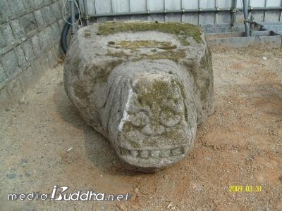 ȸ���� ���� �Ҹ��� �ͺ� 1��