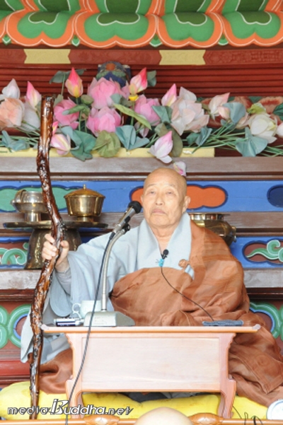 »ýÀü ¹ý¹®À» ÇÏ´Â ÇýÁ¤ ´ëÁ¾»çÀÇ ¸ð½À.